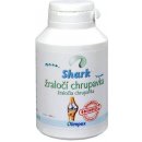 Doplněk stravy Olimpex Shark Forte 50 tablet x340 mg