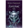 Kniha Zaklínač VII. - Paní jezera - Andrzej Sapkowski