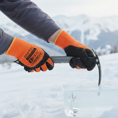 PROCERA X-ESKIMO – HobbyKompas.cz