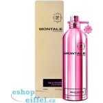 Montale Wild Pears parfémovaná voda unisex 100 ml – Hledejceny.cz