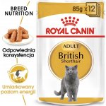 Royal Canin British Shorthair Gravy 12 X 85 g – Sleviste.cz