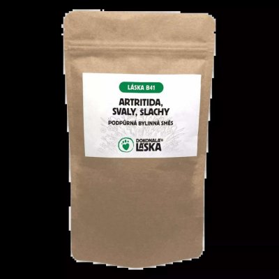 Dokonalá Láska LÁSKA B41 ARTRITIDA-SVALY-ŠLACHY 100 g – Hledejceny.cz