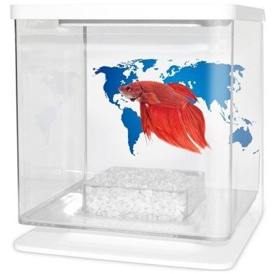 Cat-Gato Betarium Betta kit world map 2 l – Hledejceny.cz