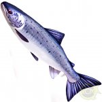 Gaby polštář ryba Losos obecný 90 cm – Zboží Mobilmania