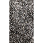 Fauna Hradil Černá slunečnice 20 kg – Zboží Mobilmania