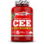 Amix CEE Creatine Ethyl Ester 350 kapslí – Hledejceny.cz