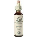 Bachovy květové esence Buk lesní Beech 20 ml – Hledejceny.cz