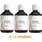 Zinzino Balanceoil+ Tutti Frutti 2 + 1 3x 300 ml – Hledejceny.cz