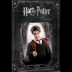 Harry Potter a vězeň z Azkabanu DVD – Sleviste.cz