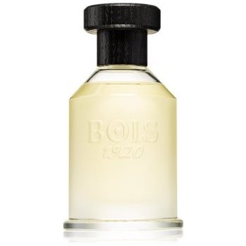 Bois 1920 Classic 1920 toaletní voda unisex 100 ml