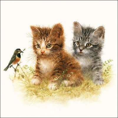 Ubrousek 33x33cm Koťátka – HobbyKompas.cz