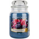 Yankee Candle Mulberry & Fig Delight 623 g