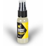 Feeder Expert Boost Spray Sweetcorn & Scopex 30 ml – Zbozi.Blesk.cz