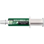 RealVet Ekyflex Nodolox Flash gel 60 ml – Hledejceny.cz