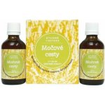 Ondřej Ullrich Močové cesty tinktura 2 x 50 ml – Hledejceny.cz