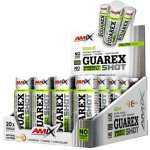 Amix Guarex Energy & Mental Shot 1200 ml – Hledejceny.cz