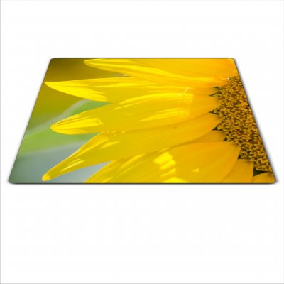Skleněné prkénko slunečnice 60x52cm I. – Zboží Mobilmania