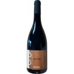 Petit-Roy Hautes Cotes de Beaune Vignes Vilon 2022 Červené 13% 0,75 l (holá láhev) – Hledejceny.cz