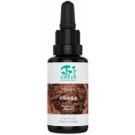 Kääpä Mushrooms Chaga BIO tinktura 30 ml – Hledejceny.cz