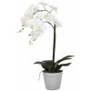 Květina Umělá Orchidea bílá 65 cm