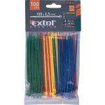 EXTOL Premium 8856192 Stahovací pásky 100x2,5 mm 100 ks – HobbyKompas.cz