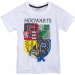 Chlapecké tričko HARRY POTTER BRADAVICE bílá – Zboží Dáma