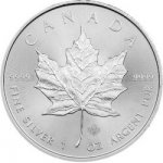 Royal Canadian Mint Canadian Maple Leaf 1 oz – Zboží Dáma