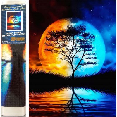 Norimpex Diamantové malování Noční spojení 30 x 40 cm – Hledejceny.cz