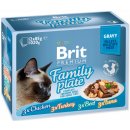 Krmivo pro kočky Brit cat Premium D Fillets jelly Family Plate 1 kg