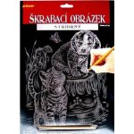 Creatoys Škrabací obrázek stříbrný 20 x 25 cm Delfín – Zboží Mobilmania