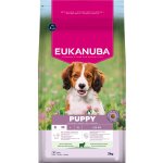 Eukanuba Premium Nutrition Puppy Small & Medium Breed Lamb & Rice 3 kg – Hledejceny.cz