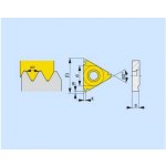 Soustružnické VBD závitové + zapichovací 80022289 / 6755532 TN 55° PP INT C3 -S- PRAMET - PM-TN-22NRN55-T8030 – Hledejceny.cz