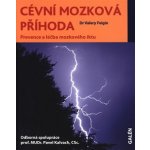 Cévní mozková příhoda -- Prevence a léčba mozkového iktu Valery Feigin – Hledejceny.cz