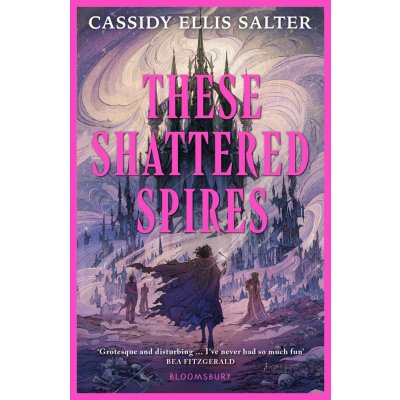These Shattered Spires - Cassidy Ellis Salter – Hledejceny.cz