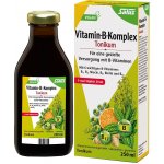 Salus Vitamin B komplex Pro psychickou rovnováhu 250 ml – Hledejceny.cz