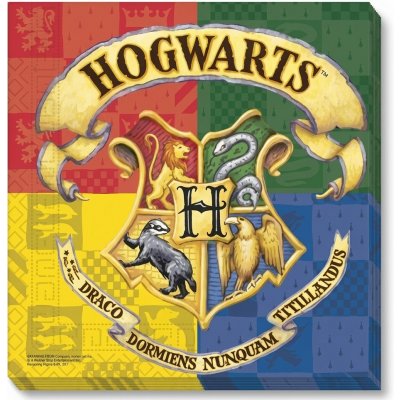 Procos papírové ubrousky Harry Potter Hogwarts Houses 33x33cm 20ks – Hledejceny.cz