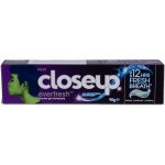 Closeup Everfresh Eucalyptus Freeze 90 g – Hledejceny.cz