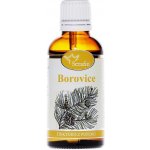 Serafin Borovice tinktura z pupenů extra silna 50 ml – Hledejceny.cz
