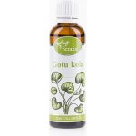 Serafin Gotukola tinktura z bylin 50 ml – Hledejceny.cz