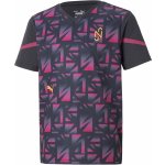 Puma Neymar Jr Flare Youth football Jersey 605608 009 – Sleviste.cz