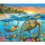 Norimpex Diamantové malování Želvy 30 x 40 cm – Sleviste.cz