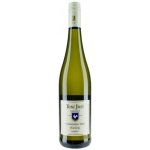 Toni Jost Riesling Bacharacher Hahn trocken Mittelrhein 2023 0,75 l (holá láhev) – Hledejceny.cz