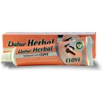 Dabur hřebíčková 100 ml – Hledejceny.cz