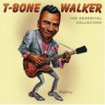 Walker T-Bone - Essential T-Bone Walker CD – Hledejceny.cz