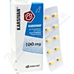 Karsivan 100 mg 60 tbl – Zboží Mobilmania