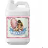 Hnojivo Advanced Nutrients Bud Candy 20 L