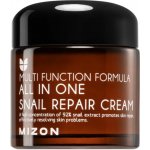 MIZON ALL IN ONE SNAIL REPAIR CREAM 75 ml – Zboží Dáma
