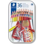 Staedtler 36 barev 4007817048306 – Zboží Živě