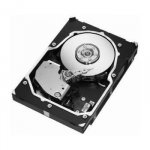 Seagate Cheetah 15K.5 300GB, 3,5", 15000rpm, SCSI, ST3300655LC – Hledejceny.cz