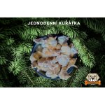 Krmimmasem.cz Mražená jednodenní kuřátka 1 kg – Zbozi.Blesk.cz